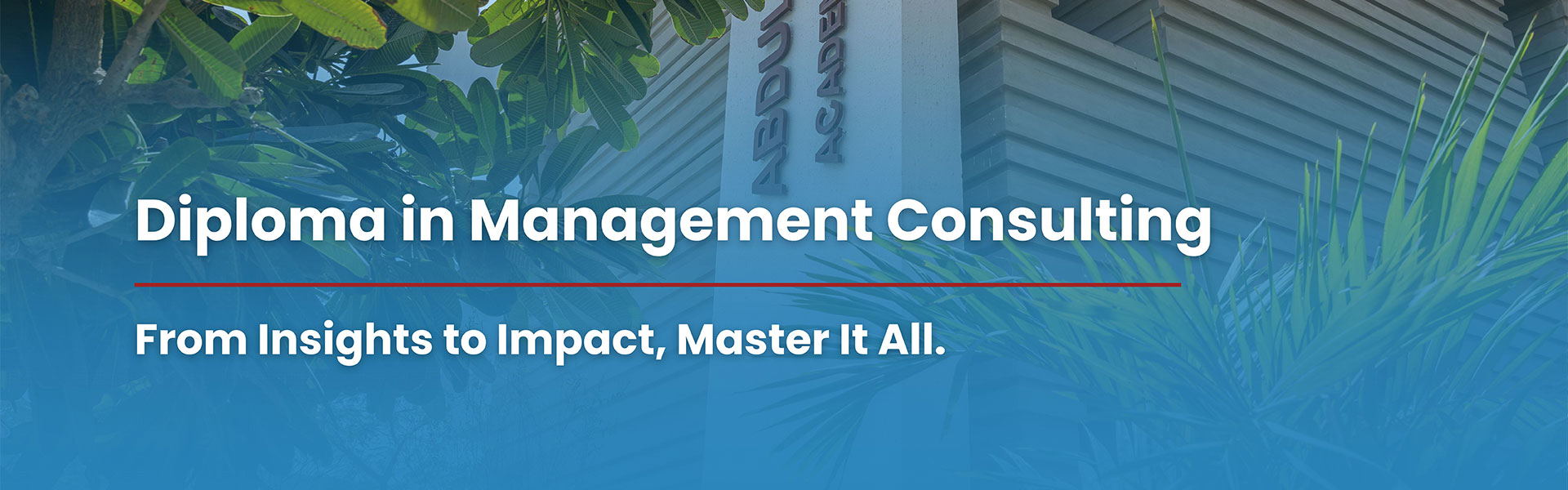 Management Consulting