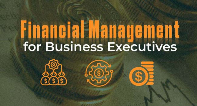 Financial Management for Business Executives