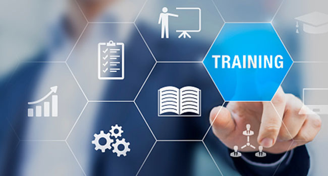 Train the Trainer/Facilitator Guide PDF: