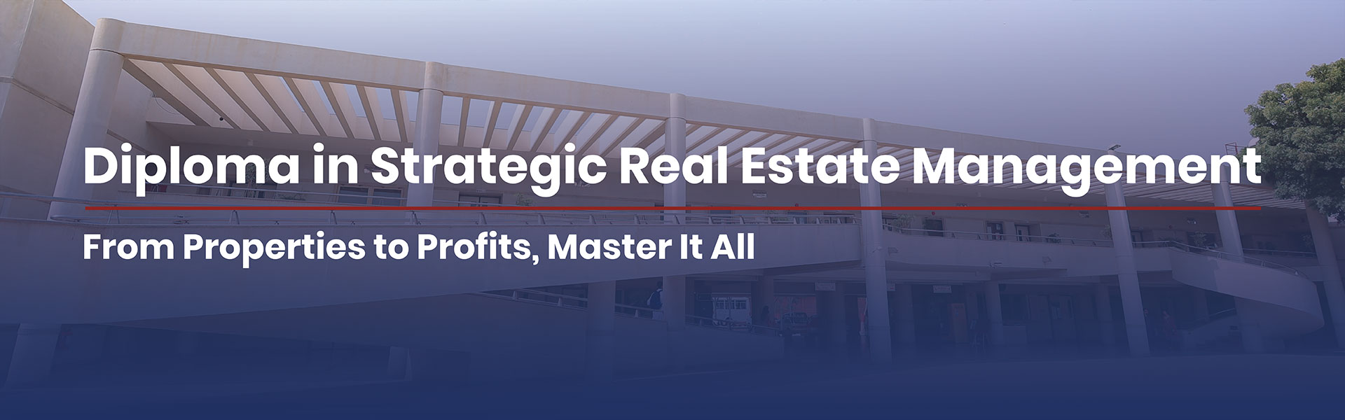 Strategic Real Estate Management